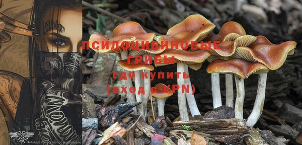 первитин Снежинск