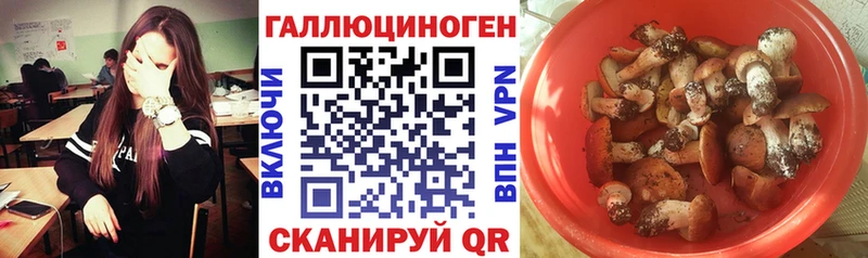 Купить закладки  Октябрьский  Псилоцибиновые грибы MAGIC MUSHROOMS 